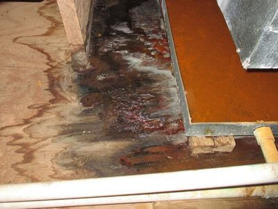 About HydroWave Co - water damage restoration experts in Adelanto